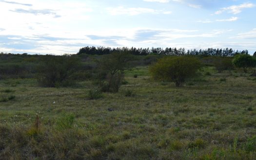 Terrenos en «La Toma»