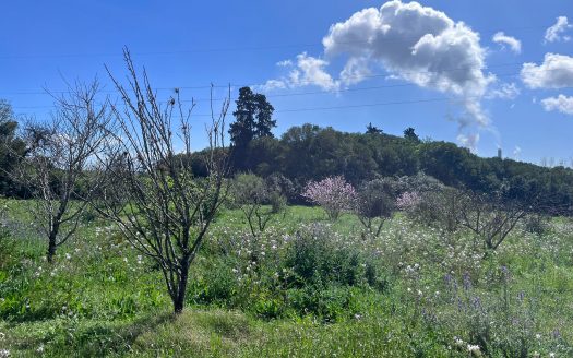 Chacra de 4 hectáreas con casa y costa al arroyo