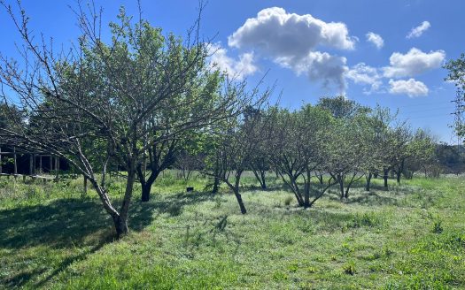 Chacra de 4 hectáreas con casa y costa al arroyo