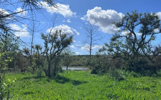 Chacra de 4 hectáreas con casa y costa al arroyo