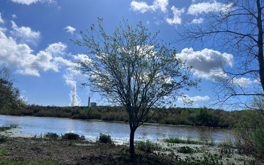 Chacra de 4 hectáreas con casa y costa al arroyo