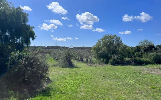 Chacra de 4 hectáreas con casa y costa al arroyo