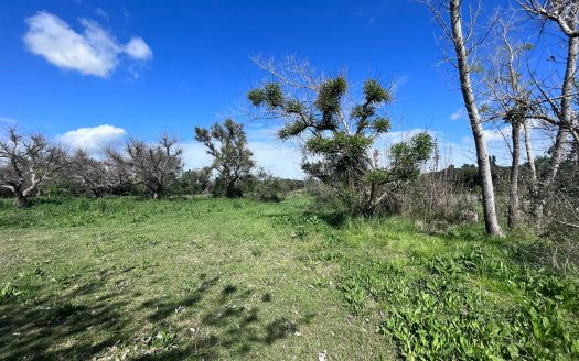 Chacra de 4 hectáreas con casa y costa al arroyo