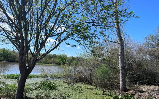 Chacra de 4 hectáreas con casa y costa al arroyo