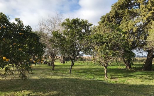 Chacra de 10 hectáreas con casa en La Víbora