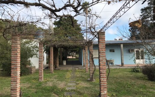 Chacra de 10 hectáreas con casa en La Víbora