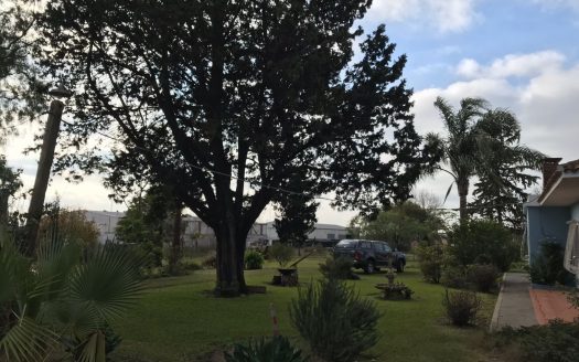 Chacra de 10 hectáreas con casa en La Víbora