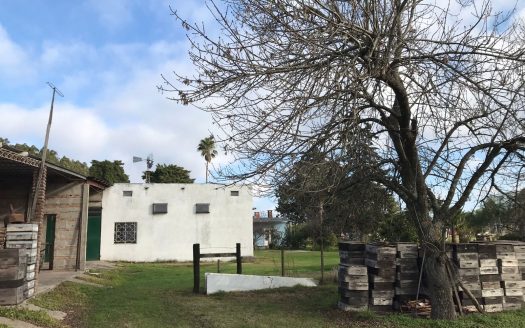 Chacra de 10 hectáreas con casa en La Víbora