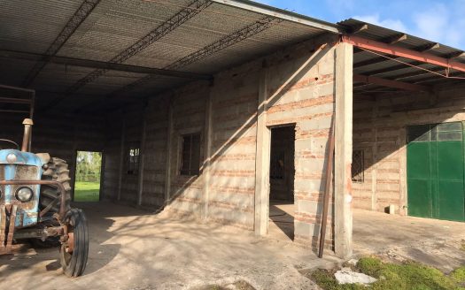 Chacra de 10 hectáreas con casa en La Víbora