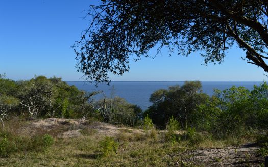 Hermosa chacra con costa al Río Uruguay